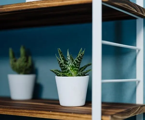 Poloni Home Verona * 베로나