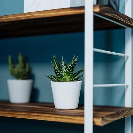 Alatea Poloni * Verona